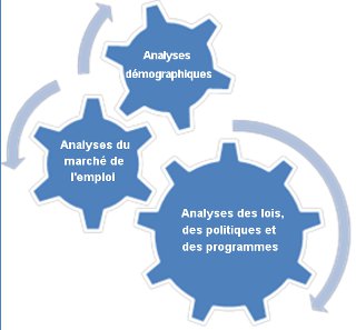 analyses démographiques, analyses du marché de l’emploi, analyses des lois, des politiques et des programmes